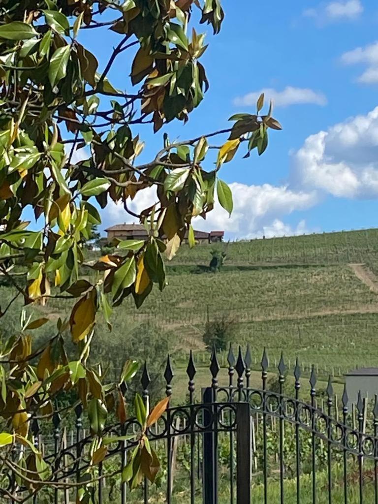 Piemonte Country House 알리아노 테르메 외부 사진